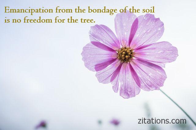 Rabindranath Tagore Quotes on Freedom 7